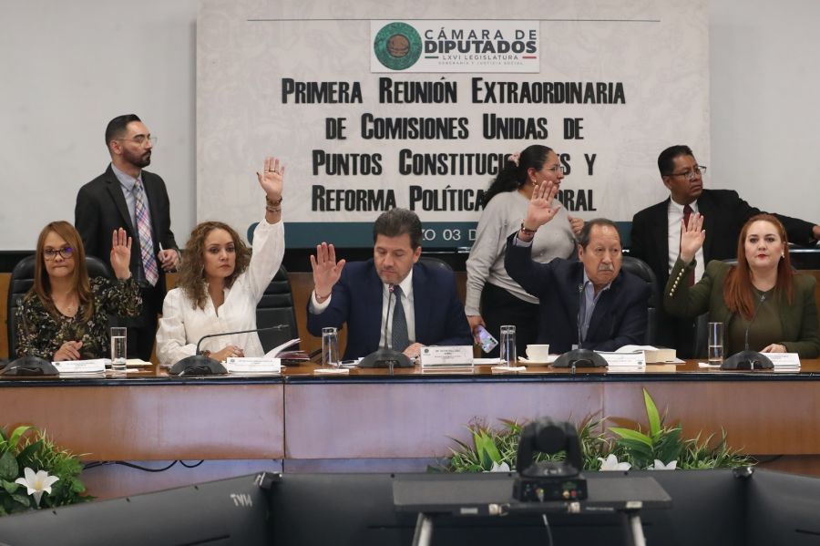 La misma gata...