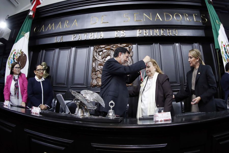 Periodista y activista