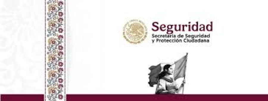Comisi&oacute;n de Puntos Constitucionales de Diputados aprueba dictamen de atribuciones de la SSPC