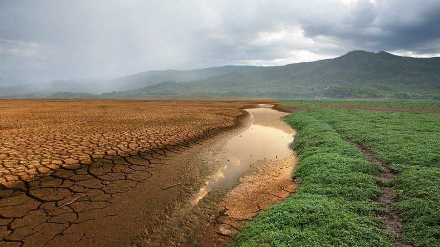Poca agua y contaminada