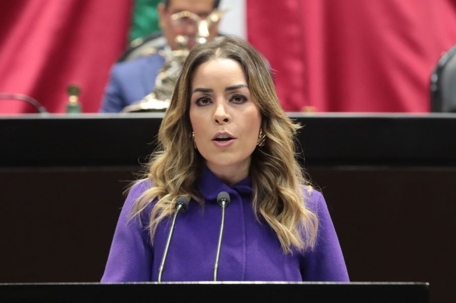 Endurecimiento de la ley para acosadores