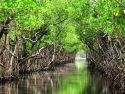Protecci&oacute;n natural vs embates del cambio clim&aacute;tico
